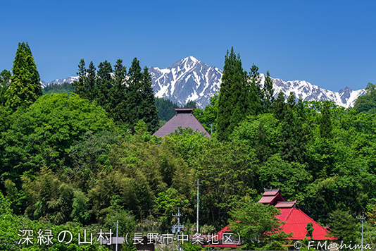 深緑山村1