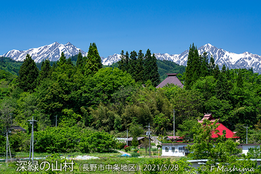 深緑山村２