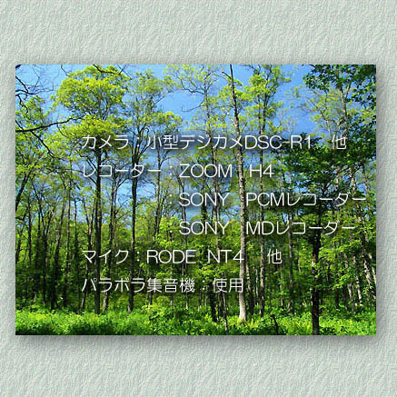 αフォトギャラリー　休憩室